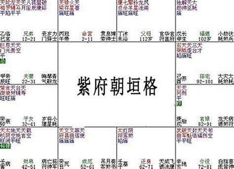 府相朝垣意思|紫微斗数格局之府相朝垣格、紫微在十二宫